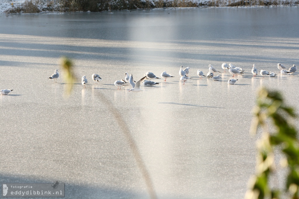 2010-12-03 Sneeuw, Deventer 006